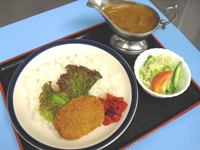 ひれかつカレー